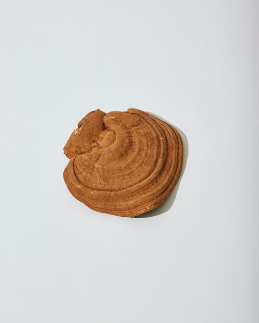 a cookie with peanut butter on top of it