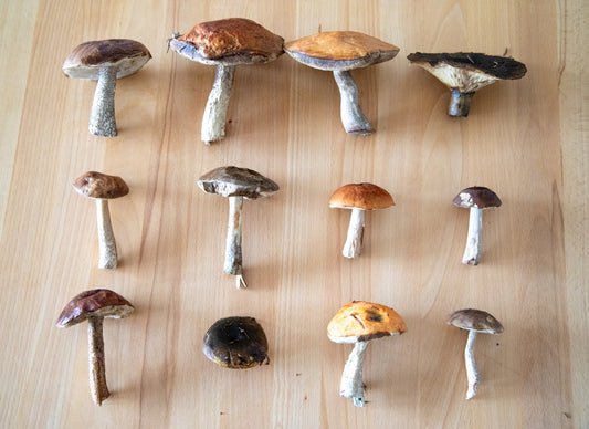 A group of mushrooms sitting on top of a wooden table