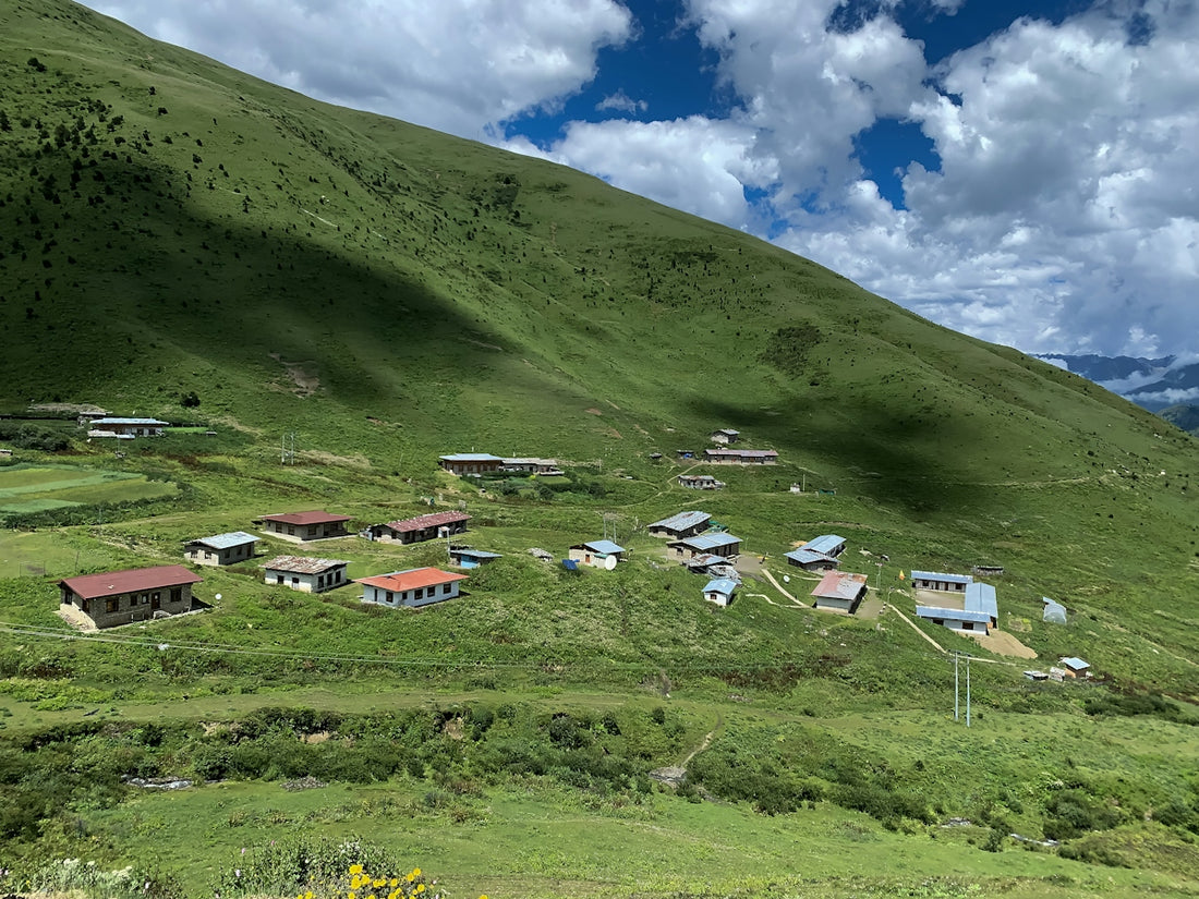 A small village nestled in the green mountainside
