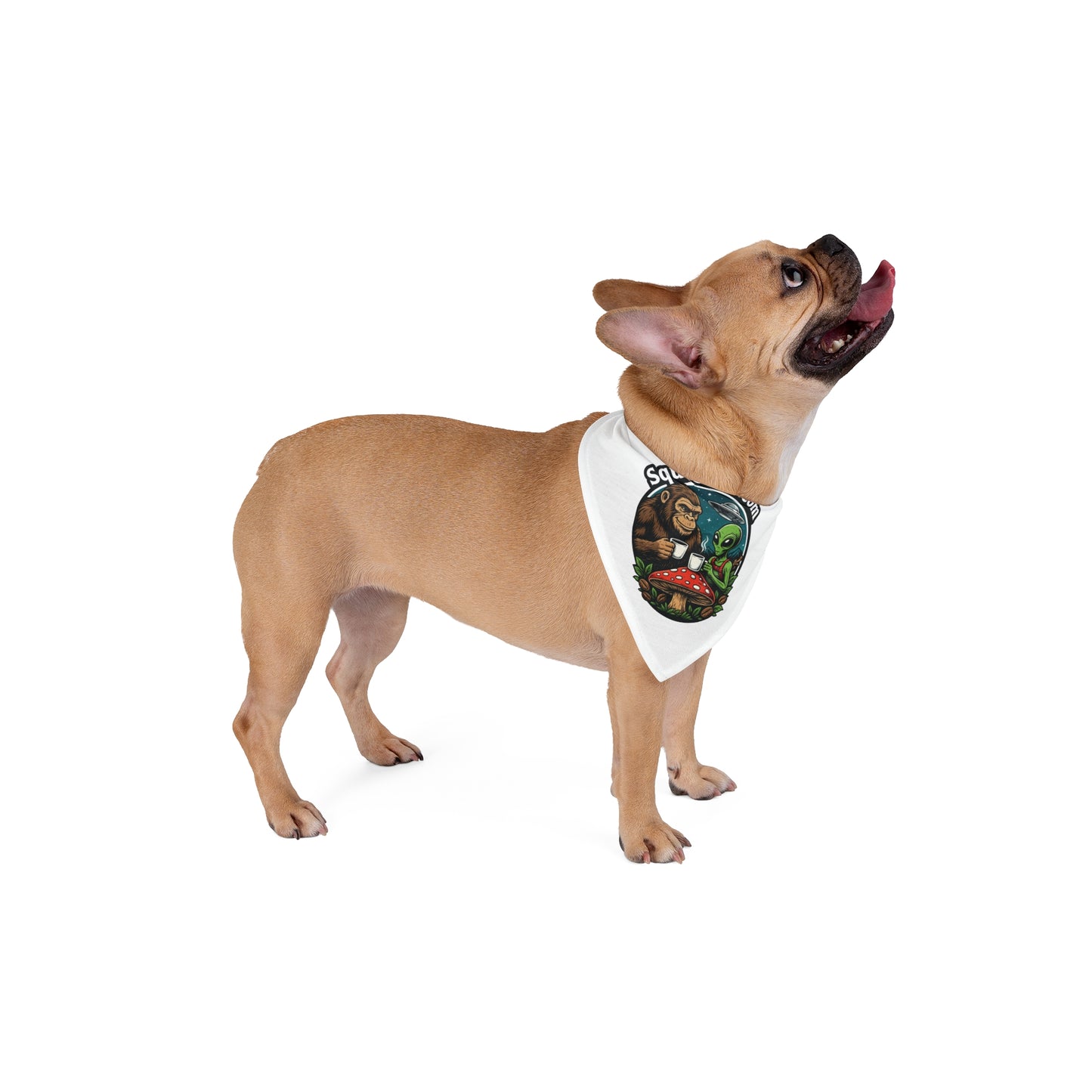 Squatch51 Pet Bandana – Bigfoot & Alien Legend Gear | Cosmic Hunt Style for Dogs & Cats